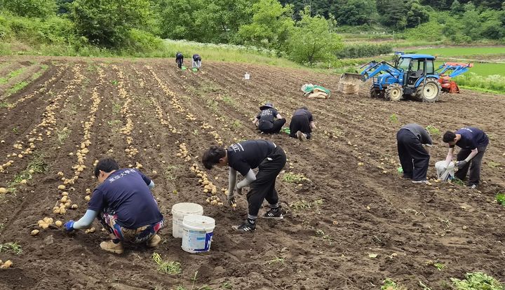 [거창=뉴시스] 경남 거창군 찾은 동아대 학생들 구슬땀 흘리며 농촌 봉사. (사진=거창군자원봉사센터 제공) 2026.06.26. photo@newsis.com *재판매 및 DB 금지