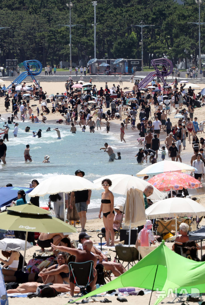  [부산=뉴시스] 하경민 기자 = 부산 해운대·송정해수욕장 개장 첫 주말인 28일 해운대해수욕장에서 시민과 관광객들이 물놀이를 즐기고 있다. 송도·광안리·다대포(동측·서측)·일광·임랑 등 부산지역 나머지 5개 해수욕장은 오는 7월1일 개장한다. 이 중 해운대는 9월15일까지, 나머지 6개 해수욕장은 8월31일까지 문을 연다. 2026.06.28. yulnetphoto@newsis.com