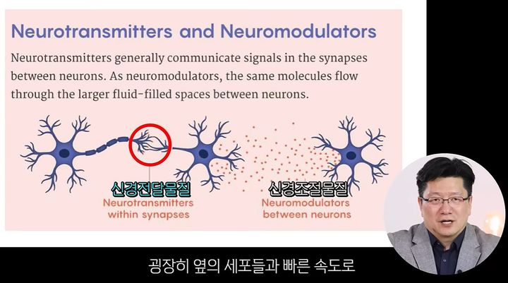 사진 유튜브 채널 '썰닥' 영상 캡처 *재판매 및 DB 금지