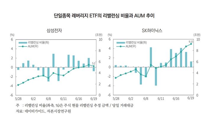 자본연 "삼전닉스 레버리지발 변동성, 점차 커질 것"