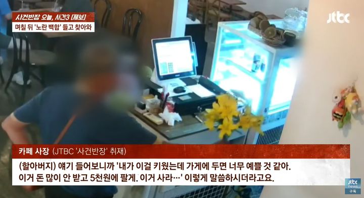 [서울=뉴시스] 카페 테라스에 심어둔 수국을 몰래 꺾어 간 노인이 며칠 뒤 다른 곳에서 꺾은 꽃을 들고 찾아와 다시 판매하려 한 황당한 사건이 알려져 논란이 일고 있다. (사진= JTBC 사건반장 캡처) *재판매 및 DB 금지