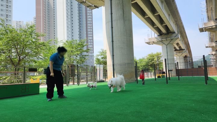 평내동 반려견 놀이터. (사진=남양주시 제공) photo@newsis.com *재판매 및 DB 금지