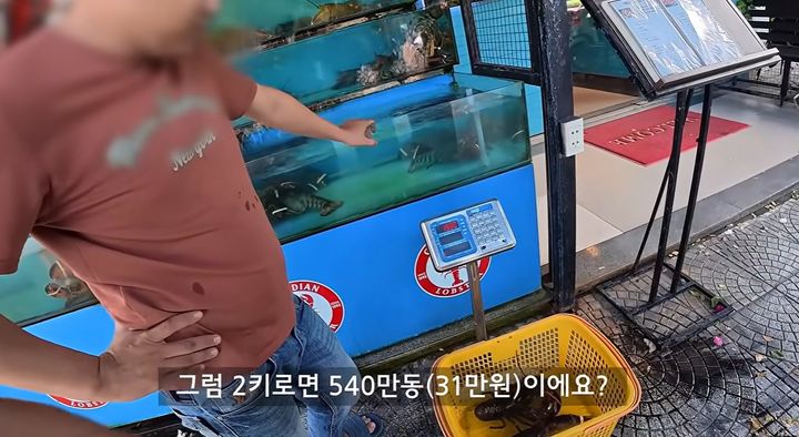 사진 유튜브 채널 '세계는요지경 YOZIGYEONG' 영상 캡처 *재판매 및 DB 금지