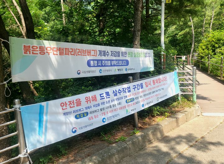 [인천=뉴시스] 최유리 인턴기자 = 계양산 등산로 입구에 러브버그 개체수 저감을 위한 현장 실증 실험을 진행한다는 현수막이 걸려 있다. 아래에는 안전을 위해 드론 살수작업 구간을 임시 통제한다는 현수막 또한 걸렸다. *재판매 및 DB 금지