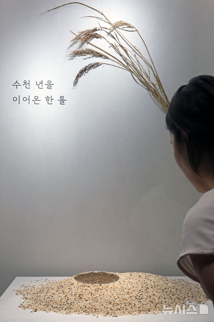 [서울=뉴시스] 박진희 기자 = 국립중앙박물관은 30일 서울 용산구 국립중앙박물관에서 한국인의 삶과 자연이 담긴 밥상의 의미와 가치를 조명하는 특별전 '우리들의 밥상' 언론공개회를 갖고 청동기 시대의 '불탄 볍씨'를 선보이고 있다. 2026.06.30. pak7130@newsis.com