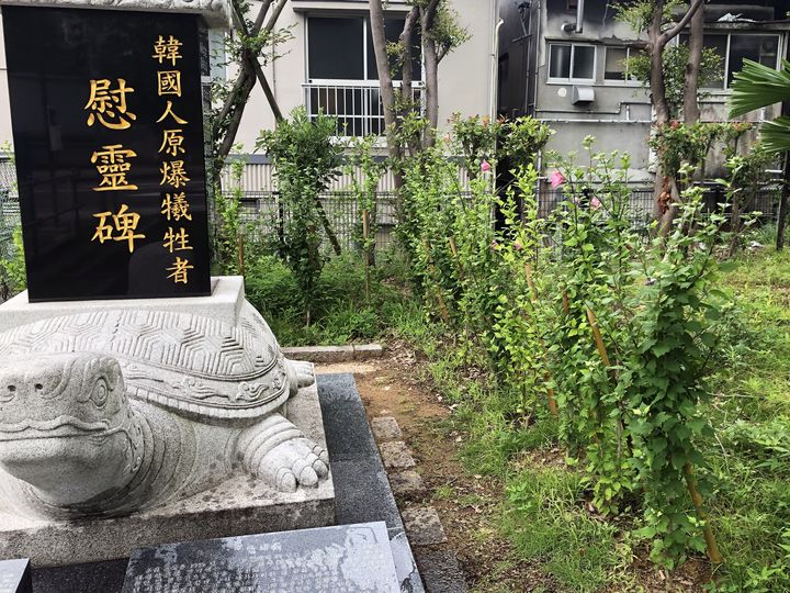 [서울=뉴시스] 일본 나가사키 평화공원 내 한국인 원폭 희생자 위령비 주변 무궁화가 피어난 모습 (사진=대한적십자사 제공) 2026.07.01. photo@newsis.com *재판매 및 DB 금지