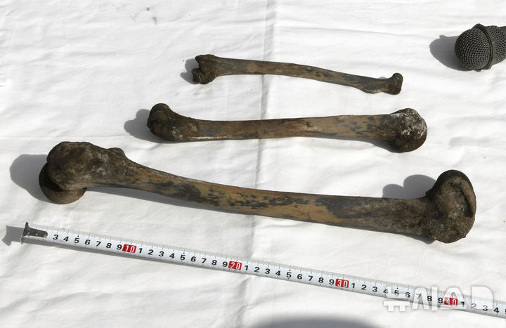 [우베=AP/뉴시스] 84년 전 발생한 일본 조세이 해저탄광 수몰 사고의 진상 규명을 요구하는 목소리가 커졌다. 일본 시민단체와 유족들은 일본 정부가 직접 유골 수습과 DNA 감정에 적극적으로 나서야 한다고 촉구했다. 시민단체 '조세이 탄광 수몰 사고를 역사에 새기는 모임'(이하 모임)은 지난달 30일 일본 참의원 의원회관에서 기자회견을 열고 이같이 밝혔다. 사진은 2025년 8월25일 일본 야마구치현 우베시 조세이 탄광에서 수습된 유골로 추정되는 뼈가 보이는 모습. 2026.07.01.