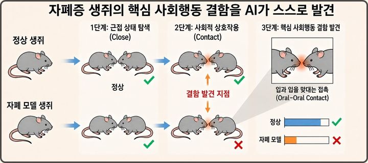[대전=뉴시스] 카이스트(KAIST)가 동물의 행동을 언어처럼 이해하고 의미를 해석할 수 있는 인공지능(AI)을 개발했다. 자폐 모델 생쥐의 핵심 사회행동 결함을 스스로 발견하는 AI 연구 모식도.(사진=카이스트 제공) *재판매 및 DB 금지