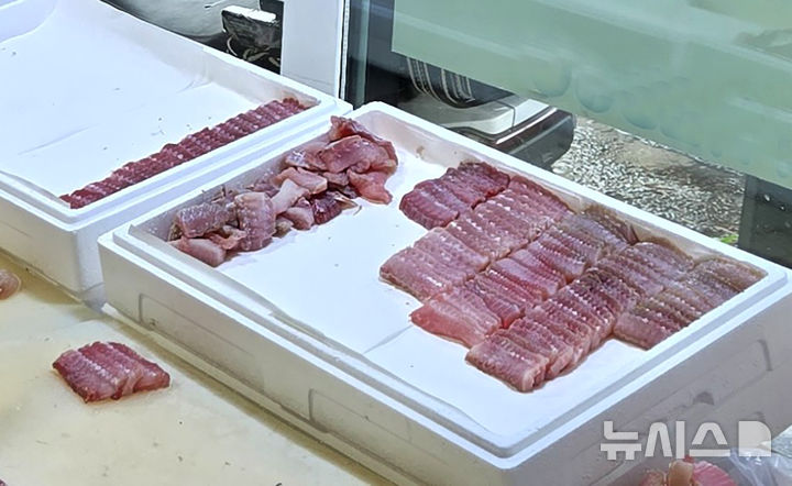 [전남광주=뉴시스] 전남광주특별시 수입 홍어 원산지 허위표시 업체 2곳 적발. (사진=전남광주특별시청 제공). photo@newsis.com *재판매 및 DB 금지