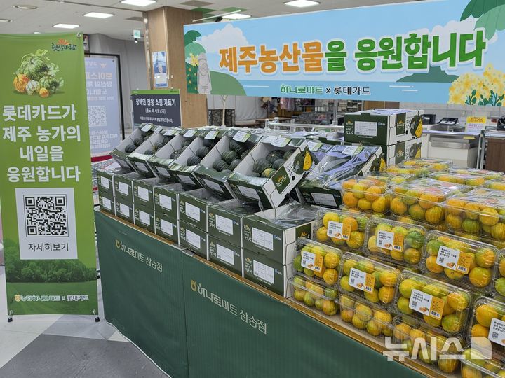 [제주=뉴시스] 제주 하우스감귤 최대 2000원 할인 판매. 진열된 하우스 감귤 모습. (사진=제주농협 제공) photo@newsis.com *재판매 및 DB 금지