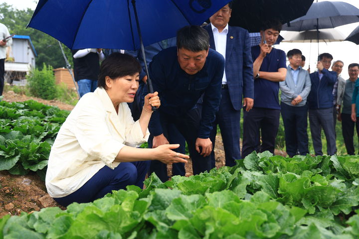 [태백=뉴시스] 송미령 농림축산식품부 장관은 2일 오후 강원 태백시 매봉산 고랭지채소 재배단지를 찾아 여름배추 생육 상황을 점검했다. (사진 = 농식품부 제공) 2026.07.02. 