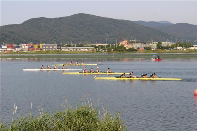 [부산=뉴시스] 지난해 열린 제51회 장보고기 전국 조정대회 모습(사진=부산시 제공) 2026.07.03. photo@newsis.com *재판매 및 DB 금지