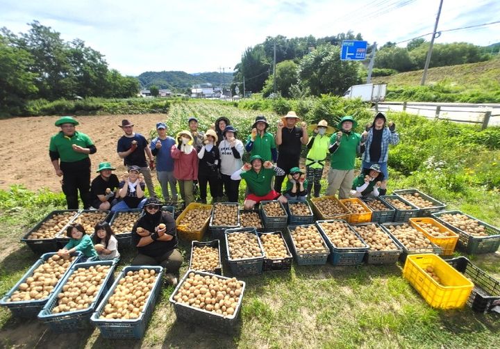 [원주=뉴시스] 원주시 4-H연합회가 아동센터에 기부하는 감자. (사진= 원주시 제공) 2026.07.03. photo@newsis.com *재판매 및 DB 금지