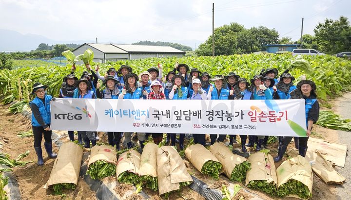 [서울=뉴시스] 2일 KT&G 잎담배 수확 봉사 기념사진(사진=KT&G 제공) *재판매 및 DB 금지