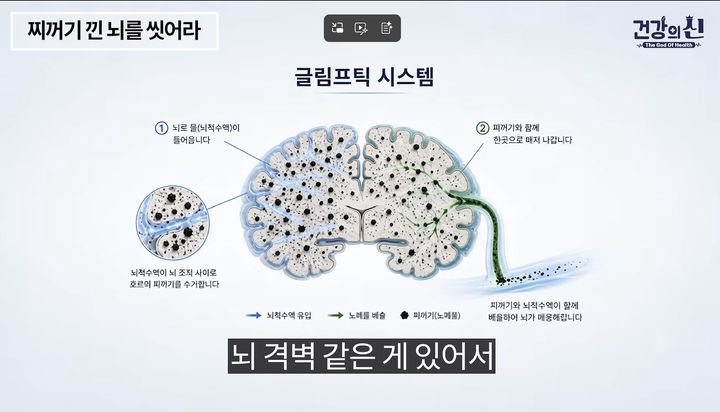 [서울=뉴시스](사진출처: 유튜브 '건강의 신')
