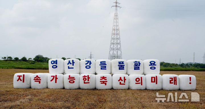 나주시가 영산강 들풀로 만든 조사료 곤포 사일리지. (사진=나주시 제공) photo@newsis.com
