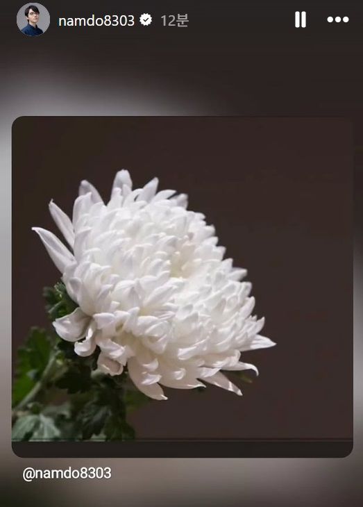 [서울=뉴시스] 성우 남도형이 고(故) 강희선을 추모했다. (사진=남도형 인스타그램) 2026.07.04. photo@newsis.com *재판매 및 DB 금지