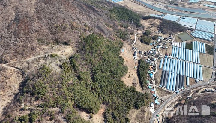 [하동=뉴시스] 산불 피해를 입은 두양마을 전경.