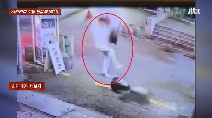 [서울=뉴시스] 한밤중에 길거리에 세워둔 입간판을 발로 차면서 난동을 부린 남성의 행동이 화제가 됐다. (사진=JTBC '사건반장' 캡처)