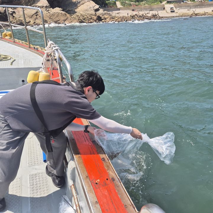 (사진=군산시 제공) *재판매 및 DB 금지