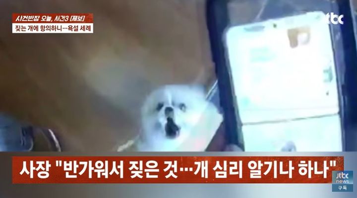 [서울=뉴시스] 한 배달 기사가 카페 내부에 개를 목줄도 없이 풀어놓은 사장 부부와 실랑이를 한 사연이 전해졌다. (사진=JTBC '사건반장' 유튜브 캡처) *재판매 및 DB 금지