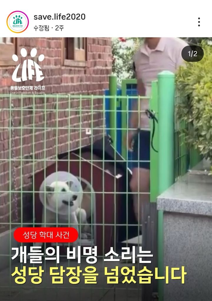 [전남광주=뉴시스] 동물권 단체 라이프가 지난 6월 22일 사회관계망서비스에 게시한 광주 성직자의 동물학대 의혹 게시물. (사진 = 라이프 SNS 갈무리) photo@newsis.com *재판매 및 DB 금지
