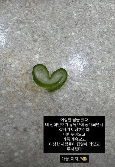 [서울=뉴시스] 미자가 작성한 꿈 내용 (사진= 미자 SNS 캡처 ) 2026.07.07. photo@newsis.com *재판매 및 DB 금지