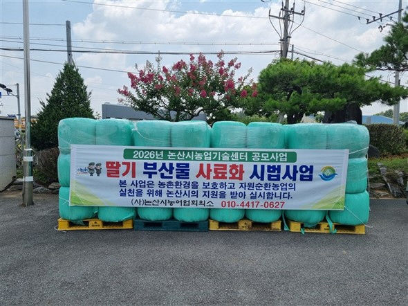 [논산=뉴시스]논산시는 딸기 수확 후 발생하는 잎과 줄기 등 영농 부산물을 가축 사료로 활용하는 ‘딸기 부산물 사료화 시범사업’을 본격 추진하기로 했다. 2026. 07. 07 photo@newsis.com *재판매 및 DB 금지