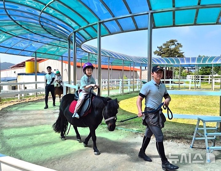 [영천=뉴시스] 영천 운주산승마조련센터 어린이 승마체험장. (사진=뉴시스 DB). photo@newsis.com 
