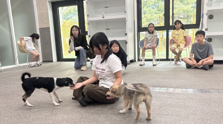 [구미=뉴시스] 반려동물 문화교실. (사진=구미시 제공) 2026.07.08. photo@newsis.com *재판매 및 DB 금지