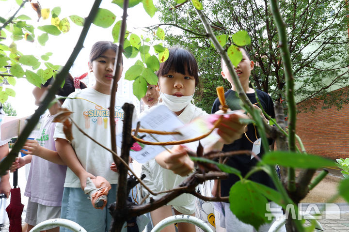 [서울=뉴시스] 전신 기자 = 사진은 생태교육을 진행하는 학생들 모습. 본 기사와 직접 관련 없음. 2026.07.08. photo1006@newsis.com