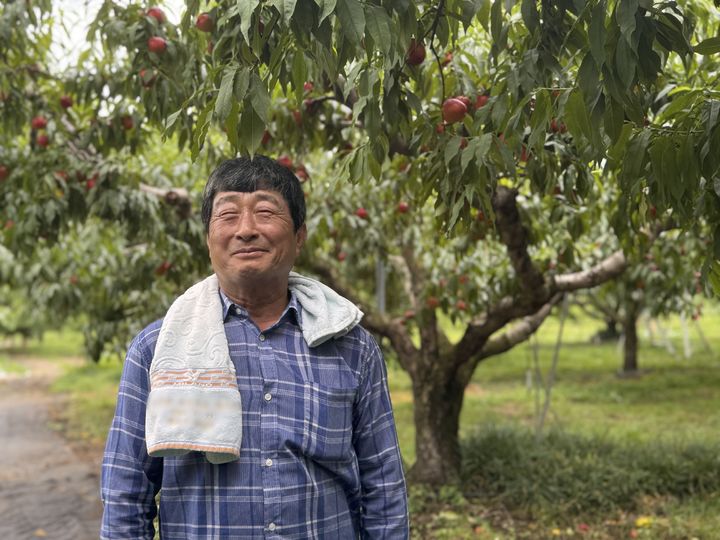 [영천=뉴시스] 이상덕 금호농협 복숭아 공선출하회장이 복숭아 나무 앞에서 웃고 있다. (사진=동효정 기자) 2026.07.09. vivid@newsis.com *재판매 및 DB 금지