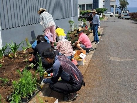 [제주=뉴시스] 제주시 용담동 주민들이 마을정원을 꾸미고 있다. (사진=제주도 제공) photo@newsis.com *재판매 및 DB 금지