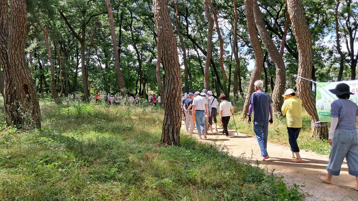 [거창=뉴시스] 거창군 맨발걷기 체험 (사진=거창군 제공) 2026. 07. 09. photo@newsis.com&nbsp; *재판매 및 DB 금지