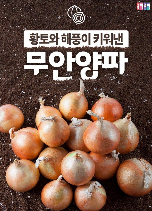 [서울=뉴시스] 공영홈쇼핑은 양파 소비 촉진을 위한 특별 방송을 진행한다고 10일 밝혔다. (사진=공영홈쇼핑 제공) 2026.7.10. photo@newsis.com *재판매 및 DB 금지
