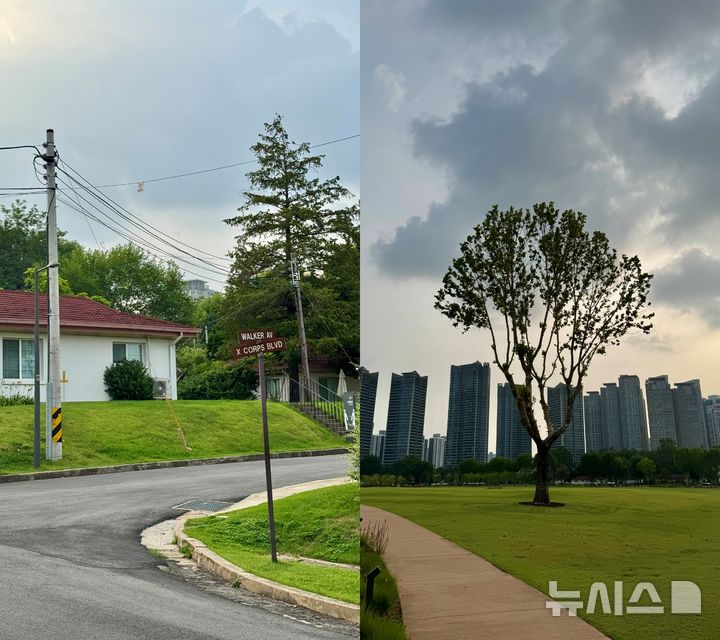 [서울=뉴시스] 윤정민 기자 = 기자가 서울 용산공원에서 인공지능(AI) 글래스 ‘레이밴 메타 2세대 웨이페어러’로 찍은 사진. 2026.07.11. alpaca@newsis.com