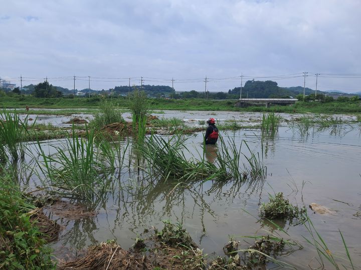[영주=뉴시스] 경북 영주시 풍기읍 남원천 수도교 하류에서 9일 물에 빠져 실종된 70대를 찾기 위한 수색작업이 진행되고 있다. (사진=경북소방본부 제공) 2026.07.10. photo@newsis.com *재판매 및 DB 금지
