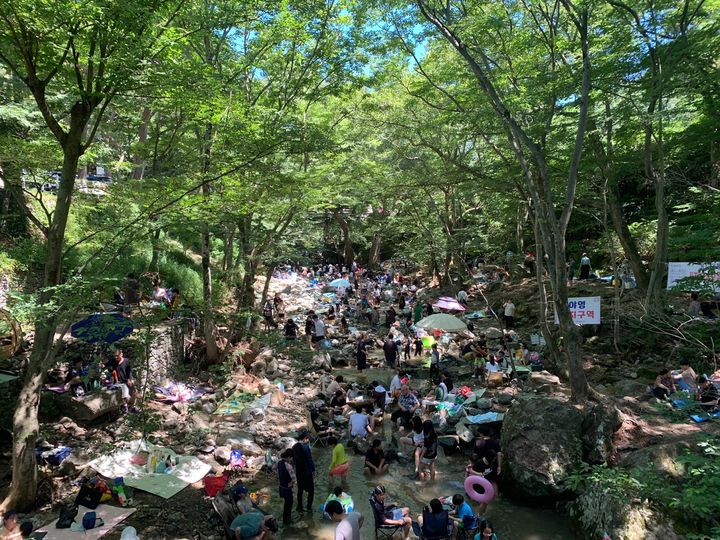 [아산=뉴시스] 아산 강당골 계곡 모습. (사진=아산시 제공) 2026.07.13 photo@newsis.com *재판매 및 DB 금지