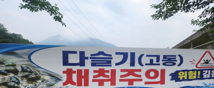 [합천=뉴시스] 다슬기 채취 주의. (사진=뉴시스 DB). photo@newsis.com *재판매 및 DB 금지