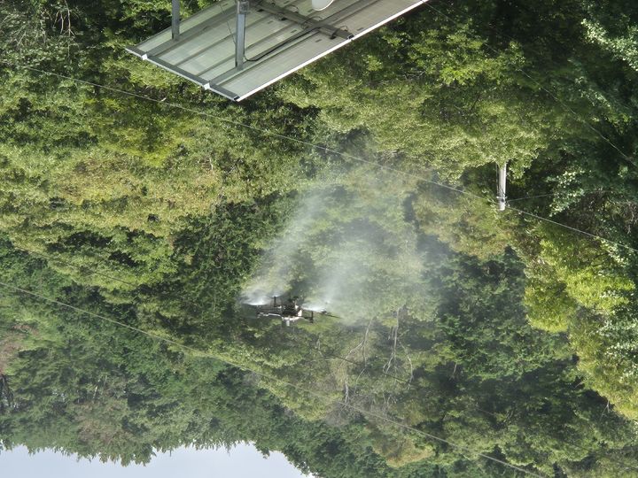 [고성(경남)=뉴시스] 신정철 기자= 경남 고성군과 군내 밤 생산자단체협의회(회장 도종국)는 13일부터 오는 19일까지 7일간 고성군 내 밤 생산농가 240가구의 밤 재배지 242ha에 대해 무인항공기(드론) 방제를 실시한다.사진은 13일 실시된 밤나무 병충해 드론방제 모습.(사진=고성군 제공).2026.07.13. photo@newsis.com *재판매 및 DB 금지