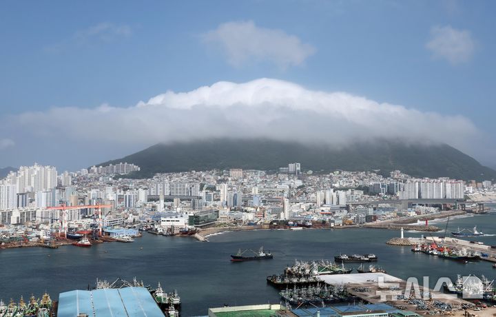  [부산=뉴시스] 하경민 기자 = 부산지역에 폭염특보가 발효 중인 13일 영도구 봉래산 일대가 짙은 해무(바다안개)로 뒤덮여 장관을 연출하고 있다. 2026.07.13. yulnetphoto@newsis.com