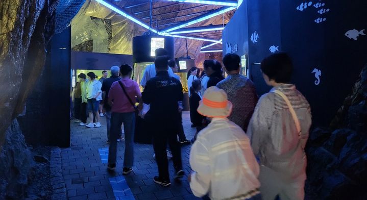 [광명=뉴시스]최유리 인턴기자=광명동굴 아쿠아월드에서 시민들이 수족관 내부를 구경하는 모습. *재판매 및 DB 금지