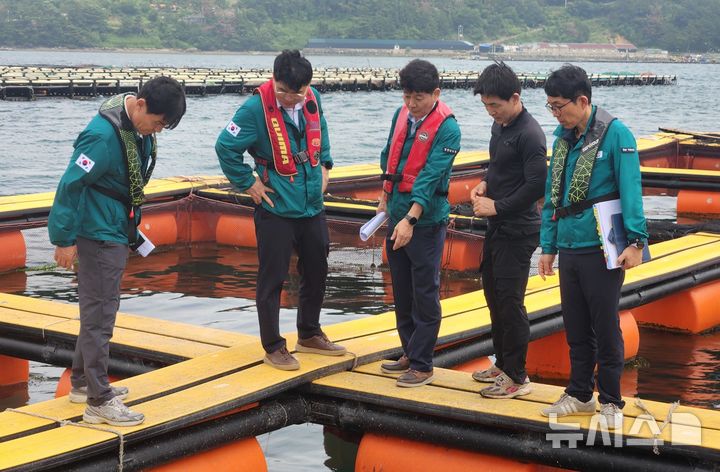 [거제=뉴시스]경남도 이상훈(왼쪽서 두 번째) 해양수산국장이 14일 거제시 동부면 한 가두리양식장을 찾아 고수온 대응 상황을 점검하고 있다.(사진=경남도 제공) 2026.07.14. photo@newsis.com
