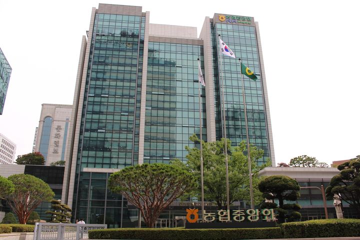 농협 '지방 이전설'에..."농협개혁" vs "이전 비효율" - 뉴스 썸네일 이미지