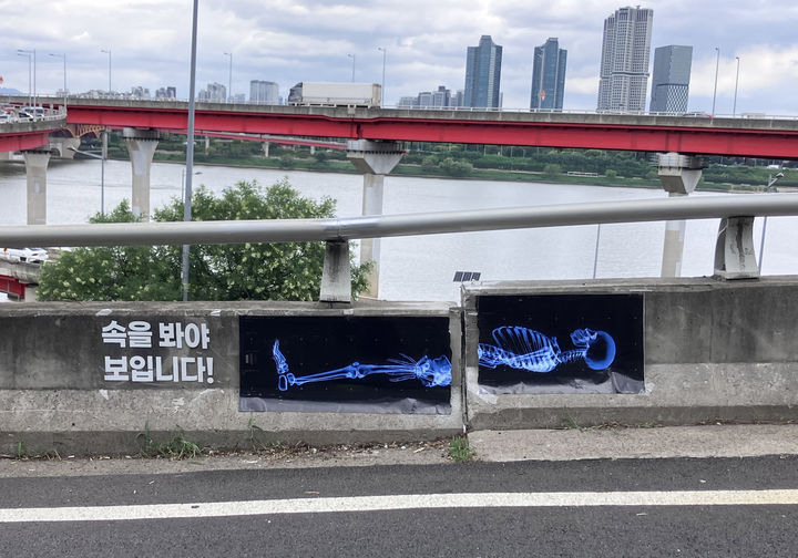 [서울=뉴시스] 서울 성수대교에 부러진 척추 엑스레이 사진을 활용한 공익광고가 등장했다. (사진=이제석 광고연구소 홈페이지)