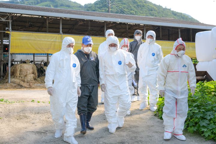 [순천=뉴시스] 15일 손훈모 순천시장이 소 브루셀라가 발생한 젖소 농가를 살펴보고 있다. (사진=순천시 제공) 2026.07.15. photo@newsis.com *재판매 및 DB 금지