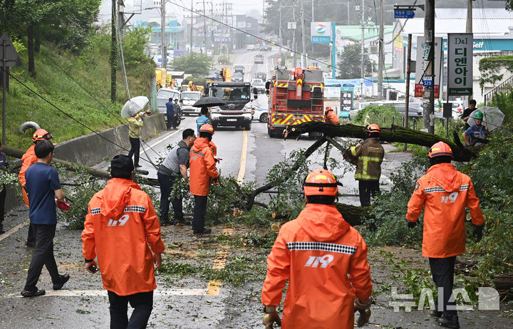 [수원=뉴시스] 김종택 기자 = 15일 경기 화성시 정남면 가장로 도로에 전날 내린 집중호우로 나무가 쓰러져 소방 등 관계자들이 복구작업을 하고 있다. 2026.07.15. jtk@newsis.com