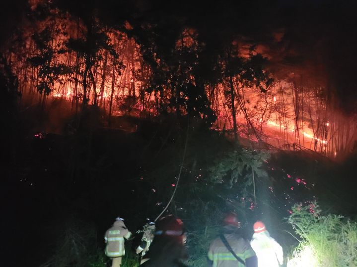 [창녕=뉴시스] 경남 창녕군 성산면의 한 대나무밭에서 불이나 소방당국이 진화작업을 하고 있다. (사진= 경남소방본부 제공) 2026.07.16. photo@newsis.com *재판매 및 DB 금지