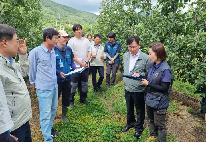 [서울=뉴시스] 송춘수 NH농협손보 대표이사(오른쪽 두번째)가 관계자들과 적과후착과수 조사 현장을 점검하고 있다.(사진=NH농협손보 제공) 2026.07.17. photo@newsis.com *재판매 및 DB 금지