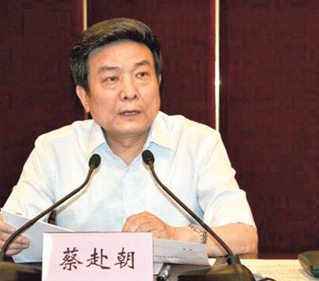 [서울=뉴시스] 국가신문출판광전총국 차이푸차오(蔡赴朝·75) 전 국장(출처: 바이두) 2026.07.16. *재판매 및 DB 금지